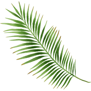 TVO palm branch pattern