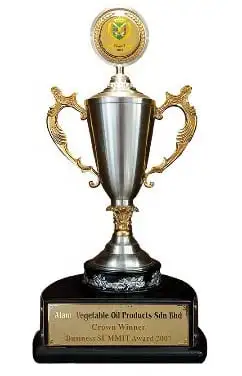 Business Summit Award